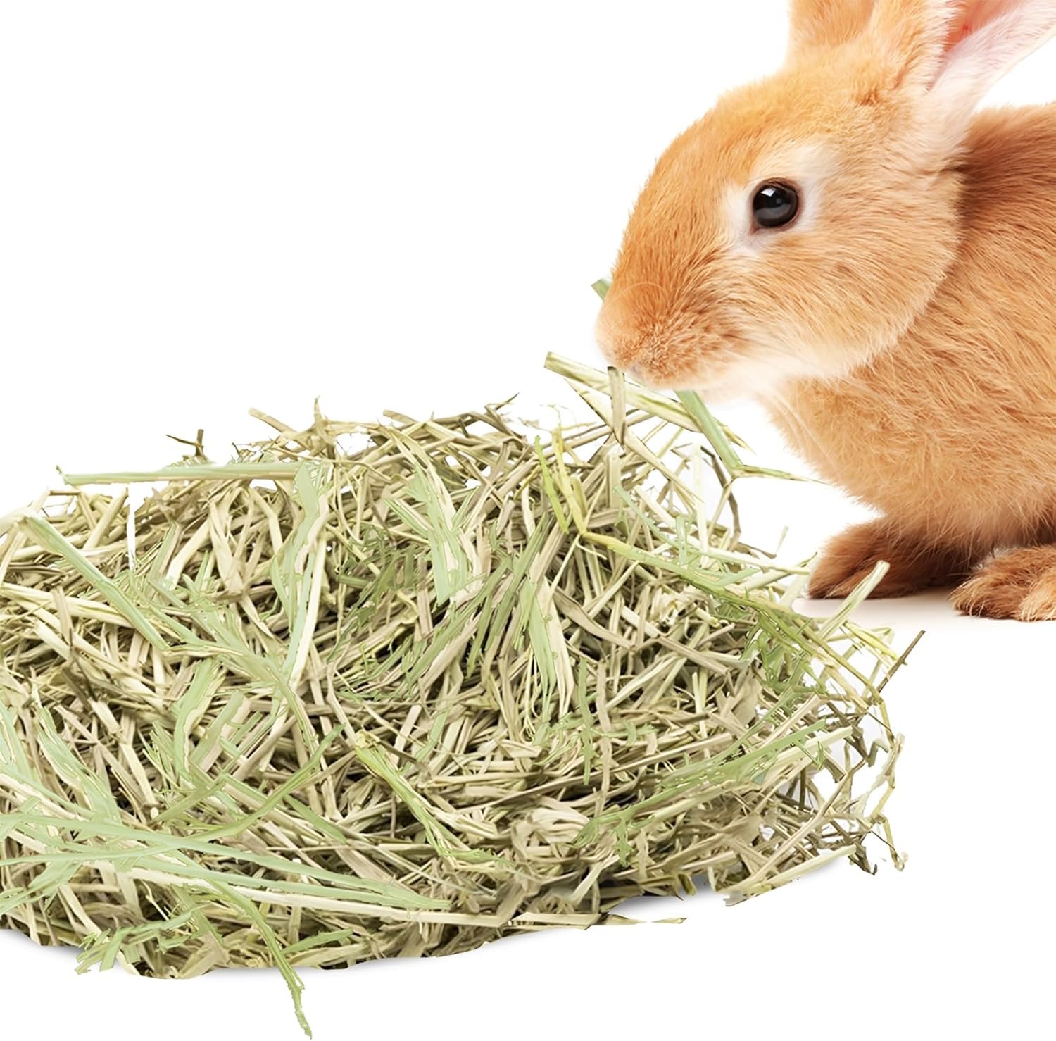 SunGrow Timothy Food, Ideal for Rabbits, Guinea Pigs, and Chinchillas, High-Fiber Hay for Digestion & Oral Care, Tasty Complement to Pets’ Daily Meals, Vacuum-Sealed, Greenish Brown Grass, 3.5 oz