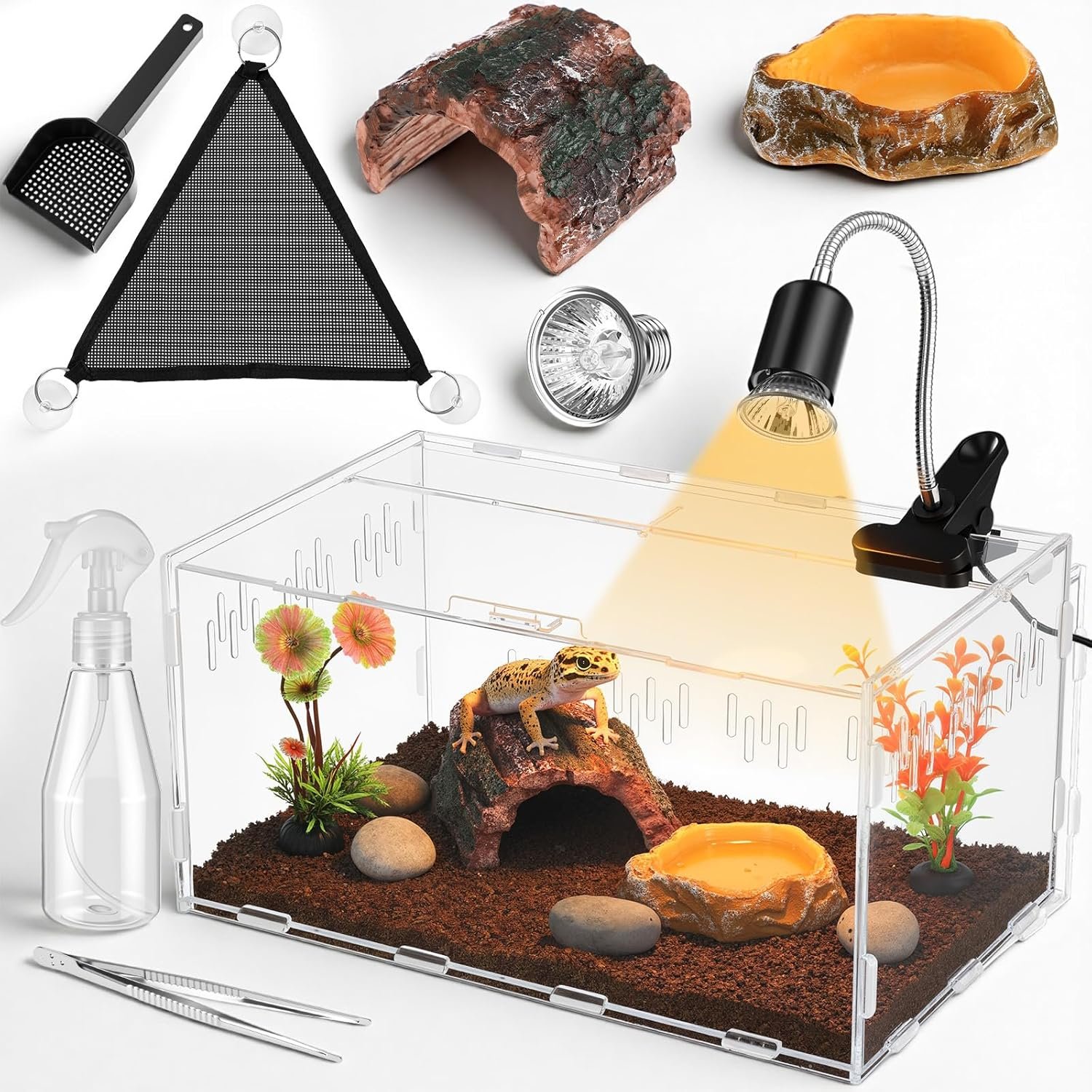 Kathfly 13 Pcs Mini Reptile Terrarium Starter Kits, 12x8x6” Insect Amphibians Reptile Tank Insect Habitat Cage Acrylic Tank Hidden Shell Heat Lamp Hammock and Other Accessories for Fish Turtle Spider