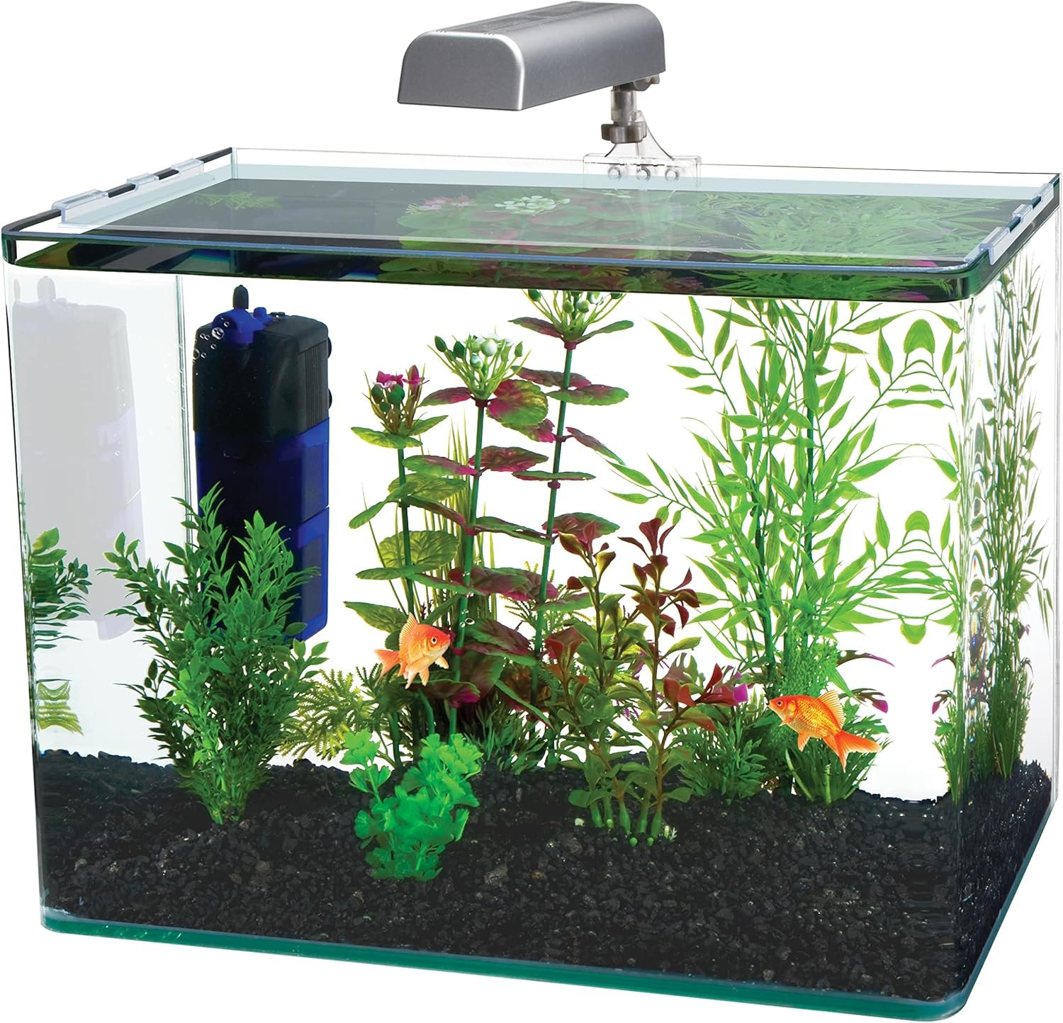 PENN-PLAX Water-World Radius Desktop Nano Aquarium Kit – Come with LED Light, Internal Filter, and Mat – Perfect for Shrimp and Small Fish – 5 Gallon Tank